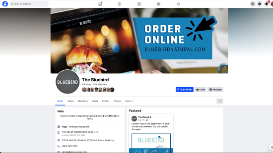 Bluebird Facebook page screenshot. Digital Marketing, Website Design, Branding, Graphic Design, Logo Design, Advertising, and Marketing Agency services in Danville, Kentucky.